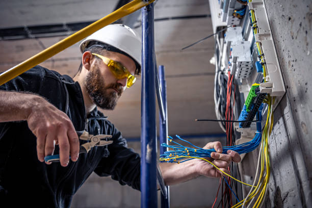 Best Licensed Electrician  in Victoria, MN